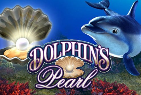 Dolphins Pearl - Novoline Slot - Testbericht