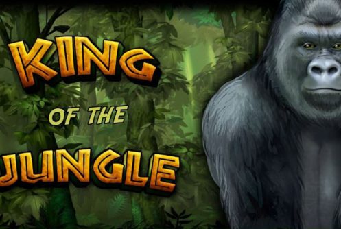 King of the Jungle - Bally Wulff Slot - Spielautomat