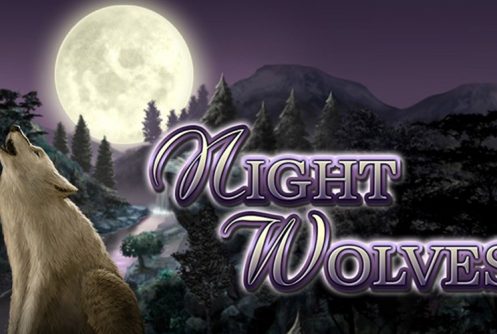 Night Wolves - Bally Wulff Slot - Spielautomat