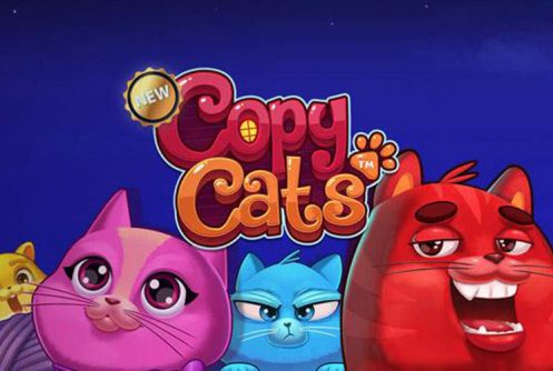 Copy Cats - NetEnt Spielautomat - Slot