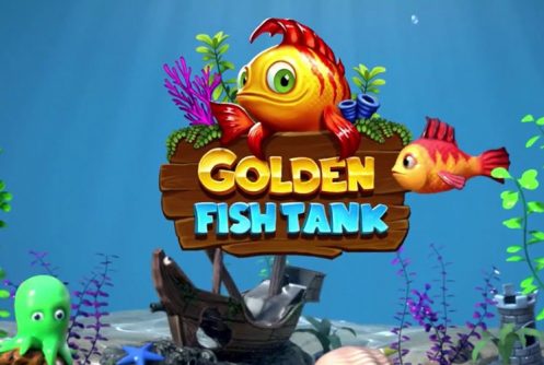 Golden Fish Tank - Yggdrasil Spielautomat - Video Slot