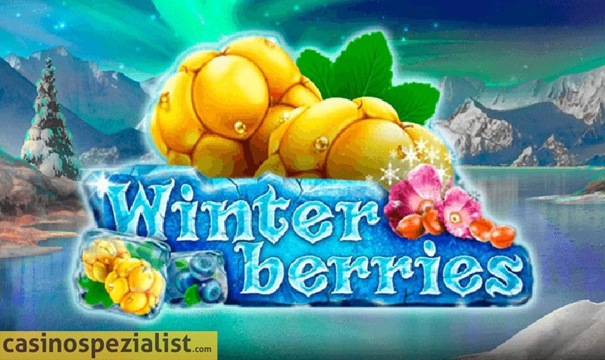 Winterberries - Yggdrasil  Slot Test und Erfahrungen