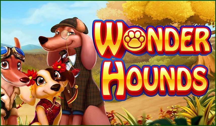 Wonder Hounds Slot Erfahrungen