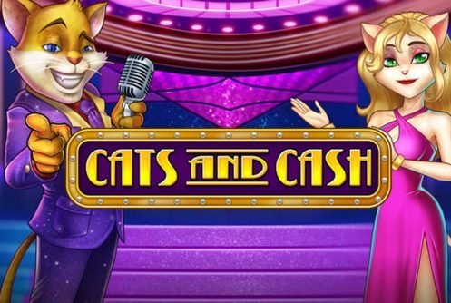 Cats and Cash - Play n GO