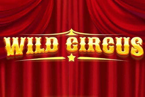 Wild Circus - Red Tiger Gaming Spielautomat