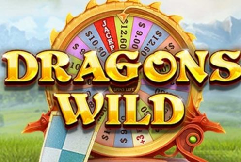 Gaming Dragons Erfahrungen Gaming Dragons Erfahrungen